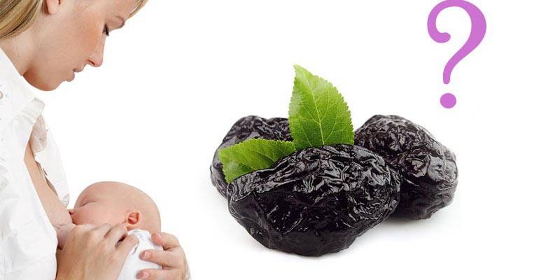Чернослив при грудном вскармливании: можно ли компот и йогурт с черносливом