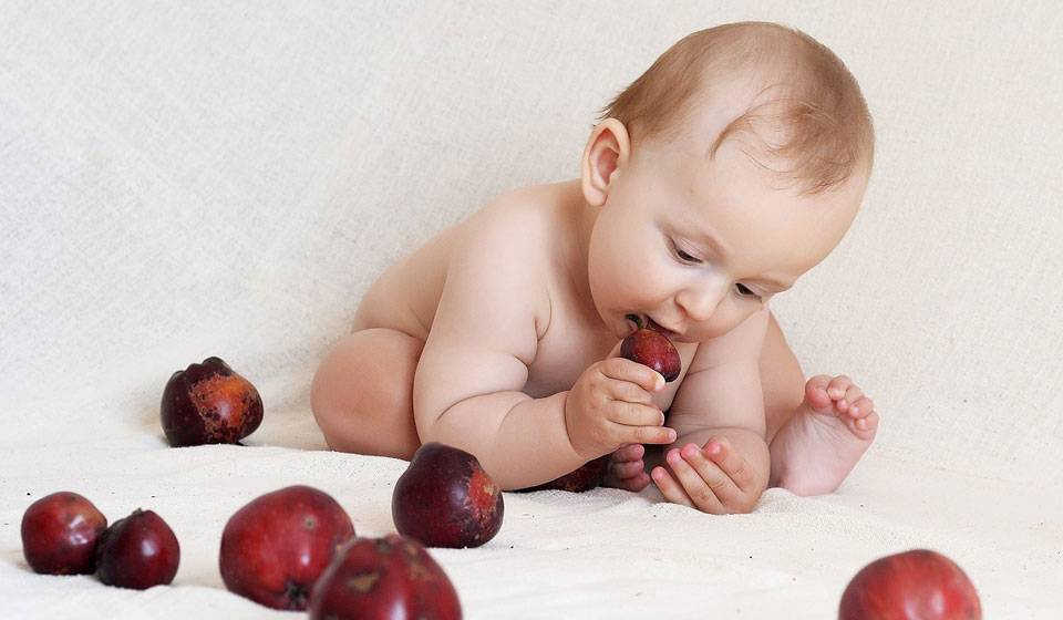 Вводим прикорм в рацион малыша: последовательность продуктов по месяцам