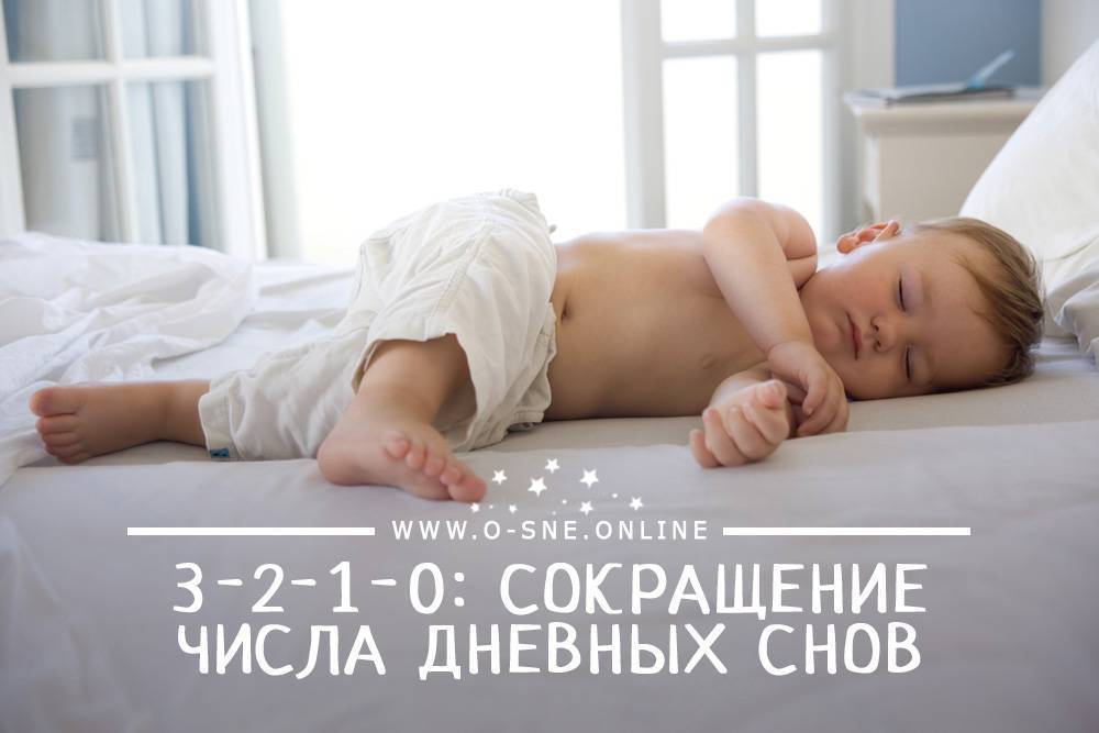 Малышу 11 месяцев: сон, питание и режим дня
