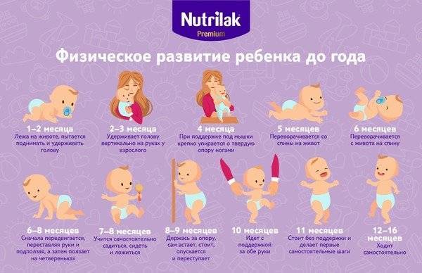 Развитие ребёнка от 5 до 6 месяцев