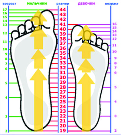 Как выбрать обувь ребенку - как выбрать размер обуви ребенку - запись пользователя кристин (kristin8205) в сообществе развитие от рождения до года в категории физическое развитие - babyblog.ru