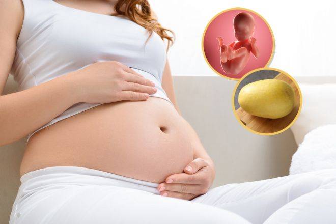 Почему ребенок икает во время беременности?