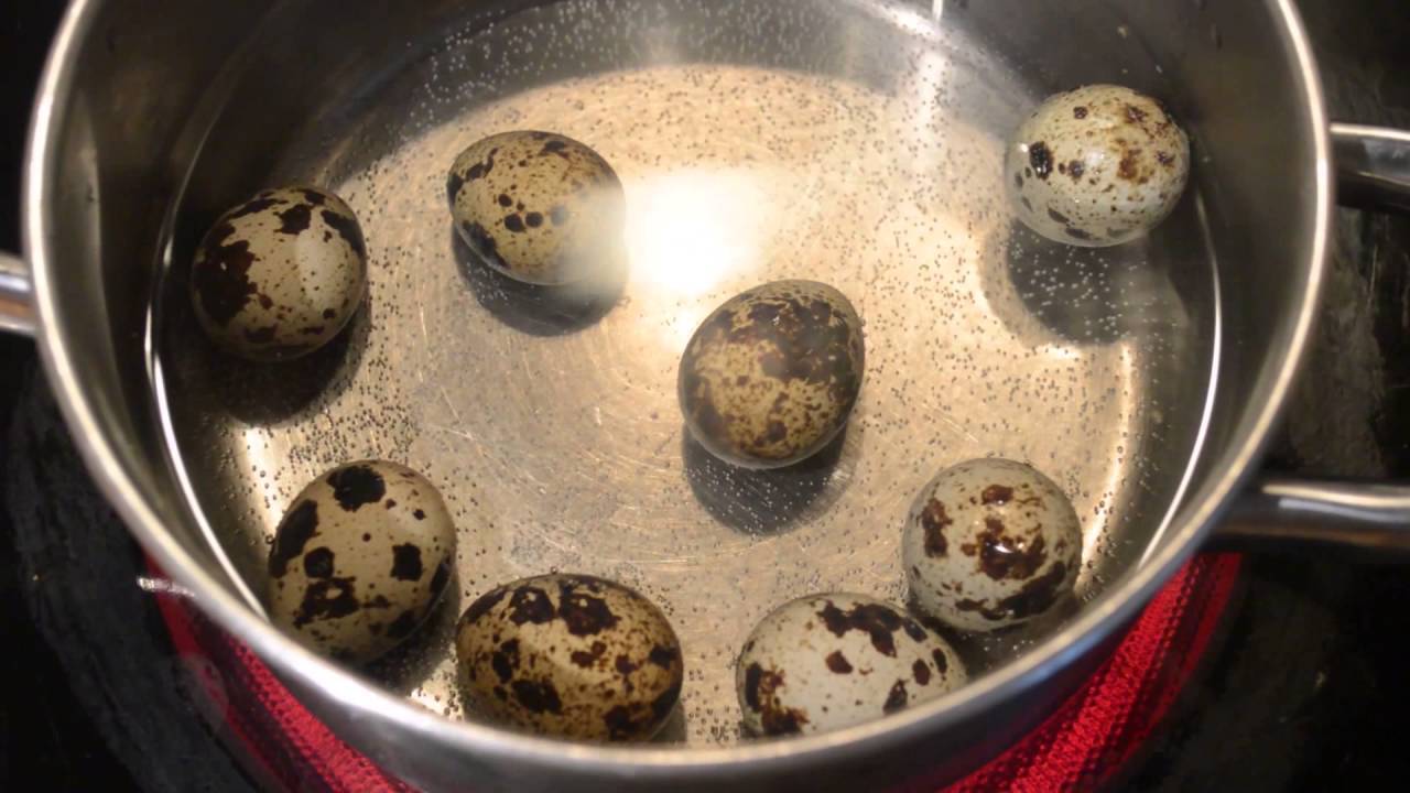 С какого возраста можно давать яйца ребенку: как вводить в прикорм, сколько яиц в день можно ребенку