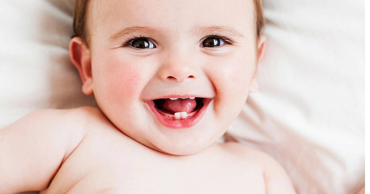 Все о прорезывании молочных зубов у младенцев... - первые зубки у грудничков - запись пользователя ˙·•๑юлия (vredina-brest) в сообществе здоровье новорожденных в категории зубки и проблемы во время прорезывания - babyblog.ru