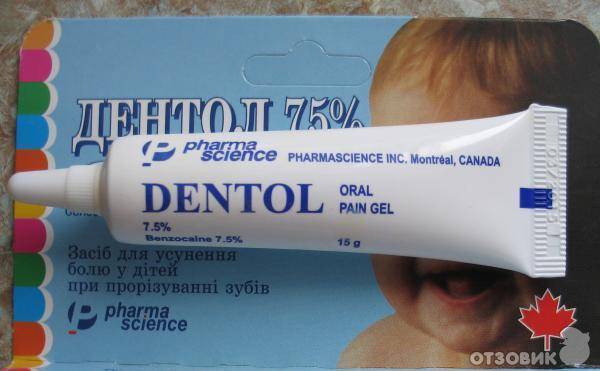 Посоветуйт гель для десен при прорезывании зубов - запись пользователя ольга (mamulya-kissulya) в сообществе здоровье новорожденных в категории зубки и проблемы во время прорезывания - babyblog.ru