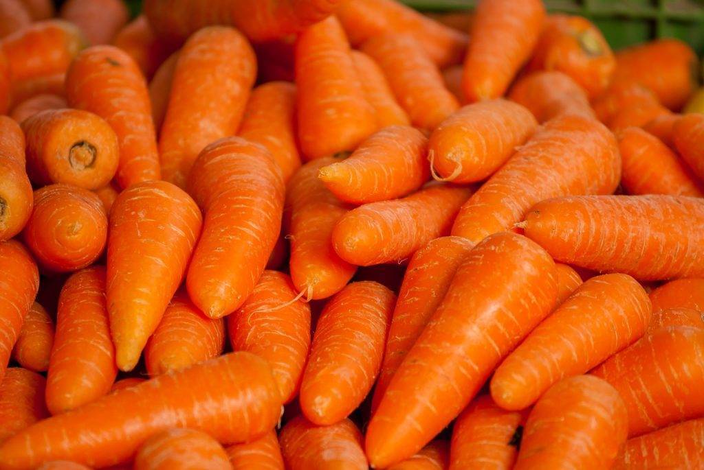 Как готовить морковку для прикорма маленькому ребенку?