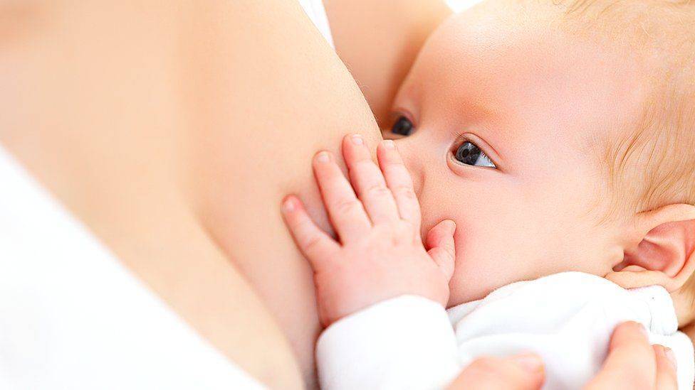 Сколько времени кормить ребенка грудным молоком, как долго ребенок сосет грудь, продолжительность гв