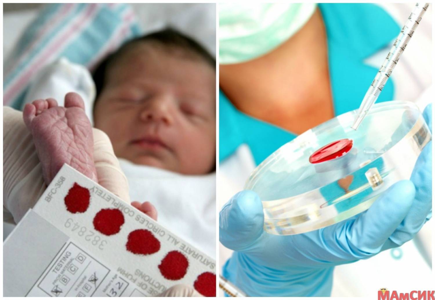 Кровь на стерильность — правила забора, инвитро, гемотест, где можно сдать кровь взрослому, ребенку, новорожденному, что показывает анализ, расшифровка