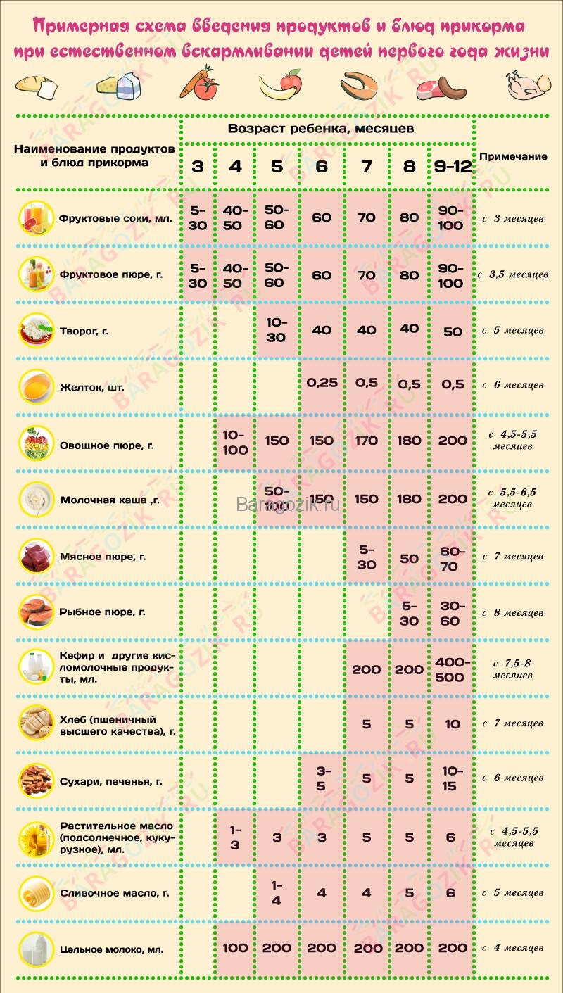 Схема введения прикорма!!! - запись пользователя таня (goroshinka1983) в дневнике - babyblog.ru