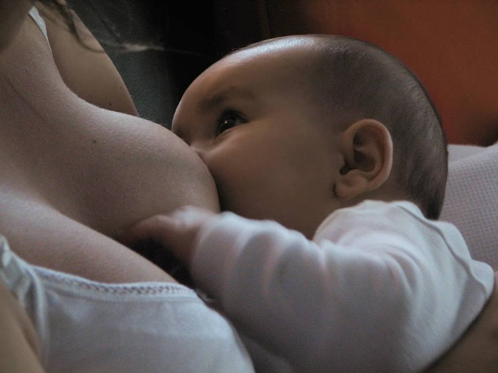 Ребенок 6 месяцев ничего не хочет есть ( - 6 месяцев ребенку плохо ест смесь - запись пользователя наталья (id792357) в сообществе питание новорожденного в категории как накормить неедяку - babyblog.ru