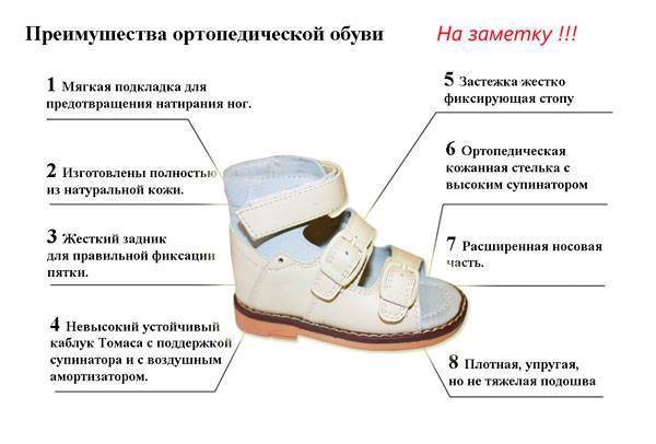 Как правильно выбрать ребёнку обувь. как покупать детскую обувь