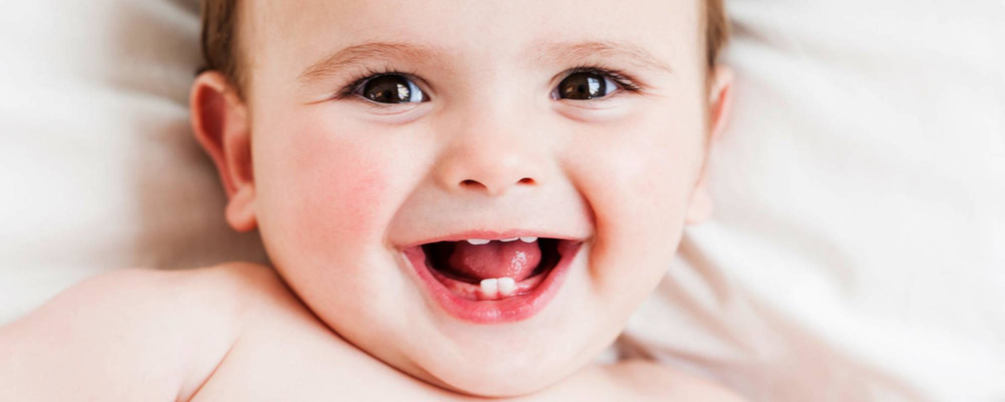 Коренные (постоянные) зубы у детей, строение, порядок прорезывания