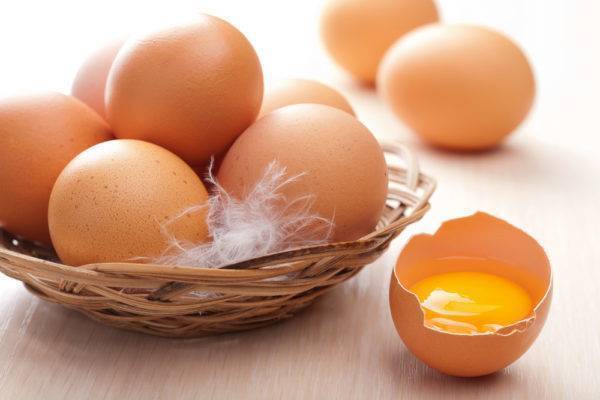 Когда можно давать белок яйца ребенку?