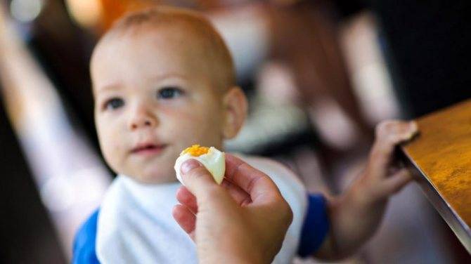 С какого возраста можно давать  ребенку белок яйца