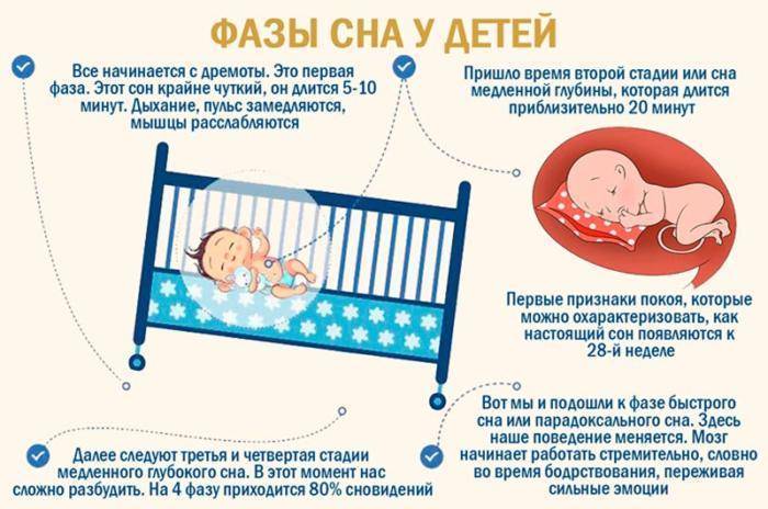 Жизнь с младенцем: мифы и реальность - запись пользователя ng (id2229823) в сообществе развитие от рождения до года в категории о мамах и папах - babyblog.ru