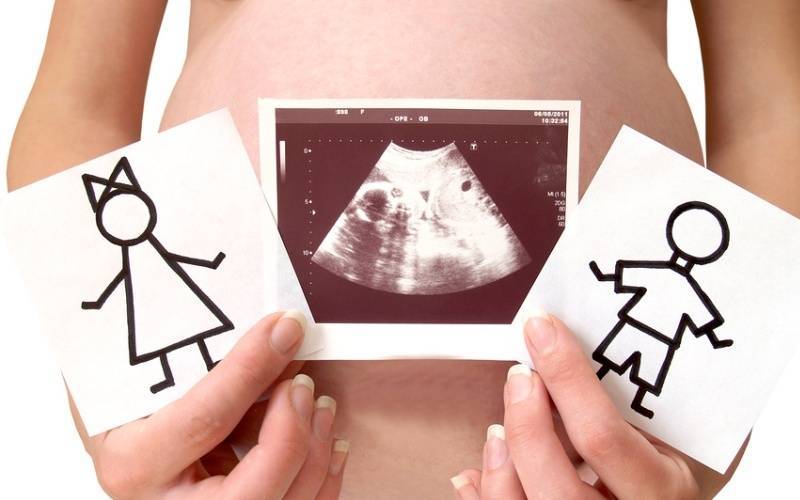 Зачатие ребенка желаемого пола: возможно ли это?