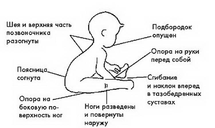 Как научить ребенка сидеть и главное когда он должен сидеть самостоятельно...))) - как научить ребёнка сидеть - запись пользователя татьяна м. (вкусные рецепты!) (tvlyss) в дневнике - babyblog.ru