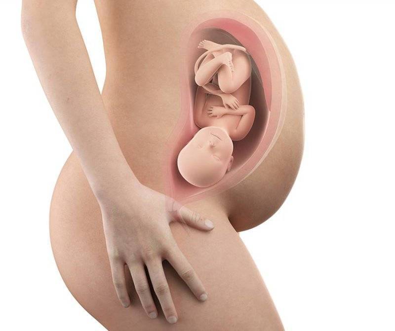 Как ведет себя малыш в родах и перед ними? - как ведет себя малыш перед родами - запись пользователя изабелла (belleb30) в сообществе образ жизни беременной в категории опыт *бывалых* мам - babyblog.ru