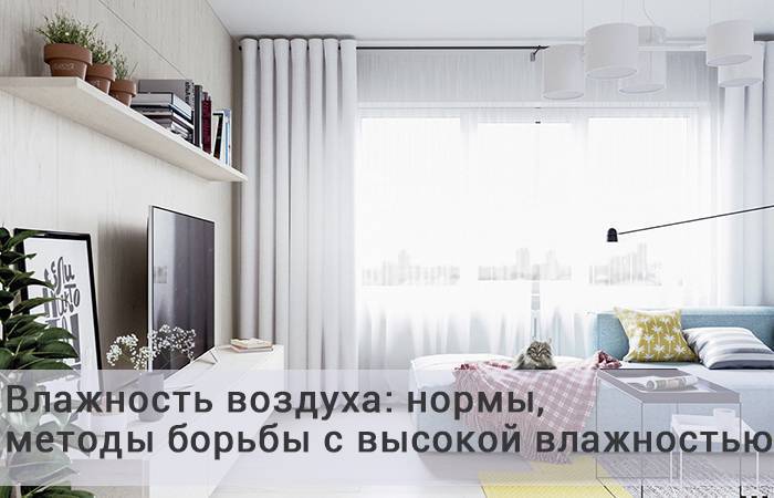 Про влажность воздуха в квартире - какая влажность должна быть в квартире - запись пользователя nissya (nissya) в сообществе эко - мама в категории всё о нашей беременности - babyblog.ru