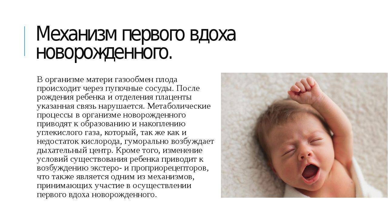 Плохое дыхание у детей: жесткое тяжелое дыхание во сне, частое дыхание новорожденных, хрипы при дыхании, свистящее и учащенное дыхание