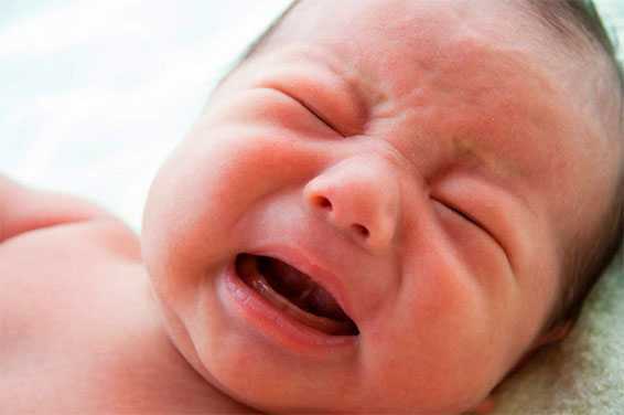 Что-то малыш мой хрюкает.. - заложен нос у грудничка хрюкает - запись пользователя елена (paradiso) в сообществе здоровье новорожденных в категории насморк и прочие заболевания носа - babyblog.ru