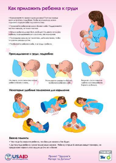 Правила и техника кормления грудью новорожденного: как правильно кормить младенца, проблемы при грудном вскармливании