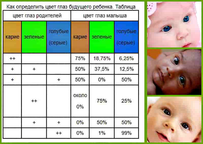 Таблица цвета глаз родителей и детей