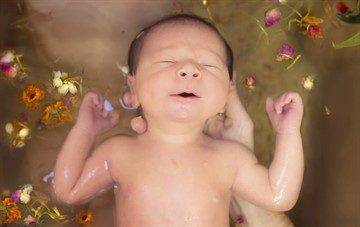 Как заварить череду,ромашку для купания малыша - как заваривать ромашку для купания новорожденного - запись пользователя алёна(координатор avon) (id1042431) в сообществе здоровье новорожденных в категории гигиена малыша - babyblog.ru