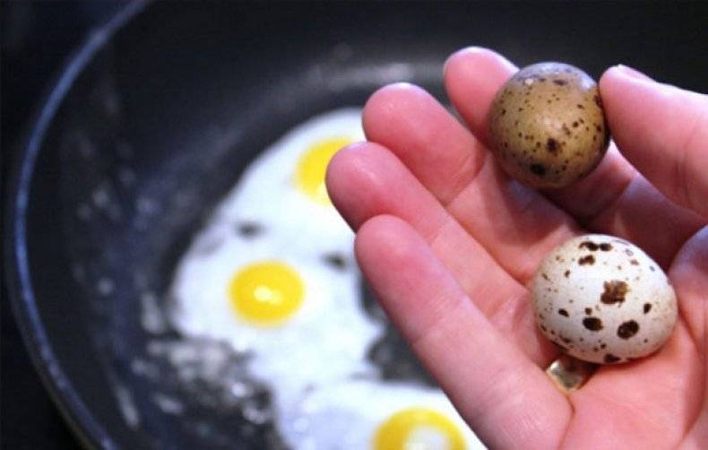 Как приготовить перепелиные яйца для ребенка