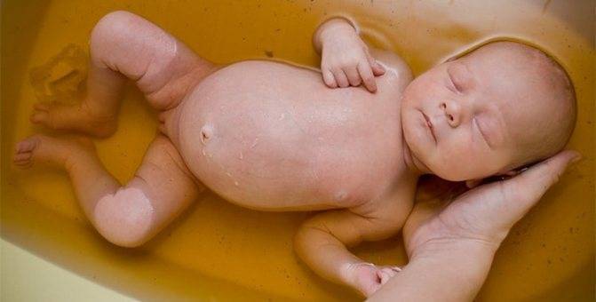 Травки для купания - успокаивающие травки для купания новорожденных - запись пользователя васюша (puxlya) в сообществе здоровье новорожденных в категории профилактика - babyblog.ru