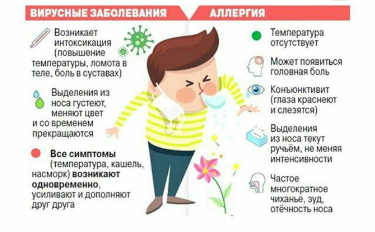 Разный размер глаз у малыша - запись пользователя lenchik (elena-antonova) в сообществе здоровье новорожденных в категории болезни глаз - babyblog.ru