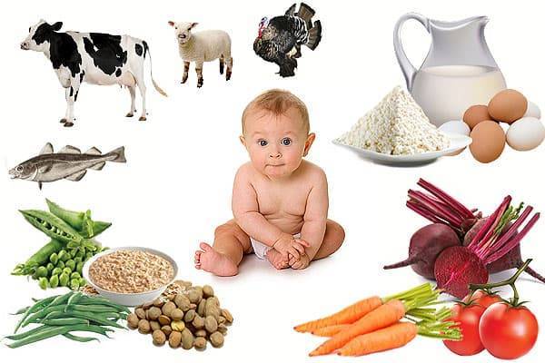 Творог, кефир и яичный желток в питании ребенка: когда и как вводить их в прикорм