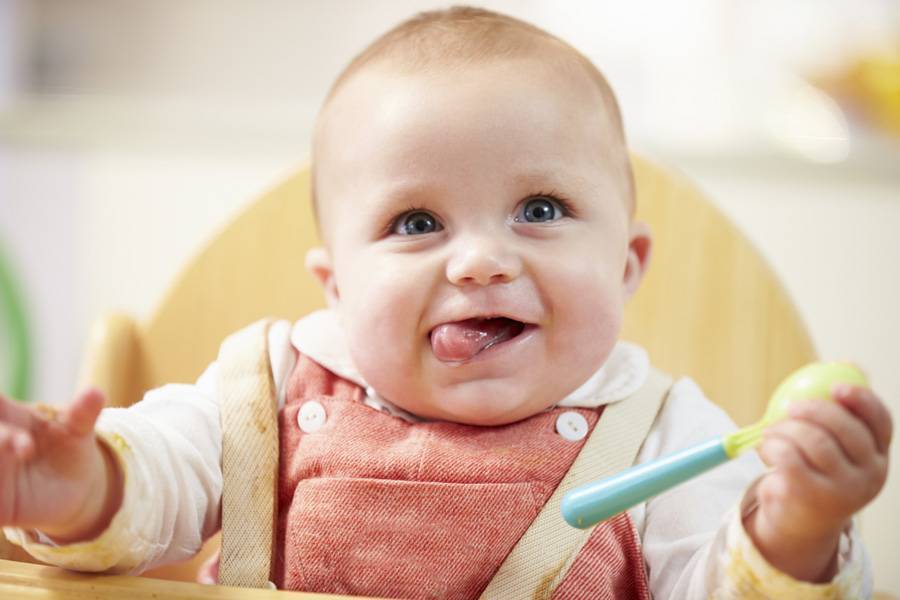 Ребенок 6 месяцев ничего не хочет есть ( - 6 месяцев ребенку плохо ест смесь - запись пользователя наталья (id792357) в сообществе питание новорожденного в категории как накормить неедяку - babyblog.ru