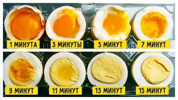 С какого возраста можно давать ребенку белок яйца?