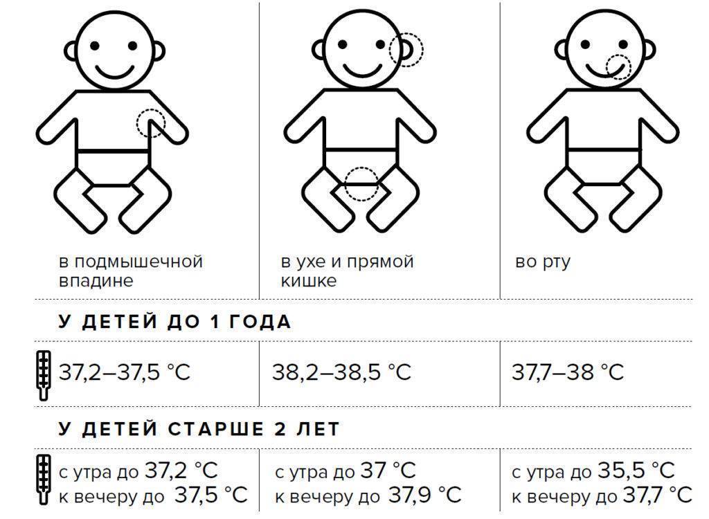 Температура у ребенка: какая нормальная и когда повышается. температура у месячного ребенка и ребенка до года