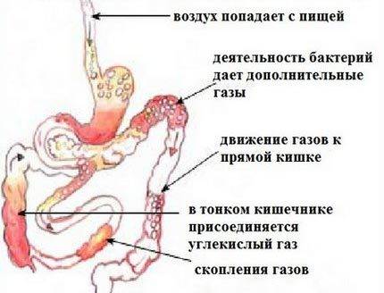 Пукаем и плачем!!! - грудничок пукает и плачет - запись пользователя елена (oblako) в сообществе здоровье новорожденных в категории стул новорожденного - babyblog.ru