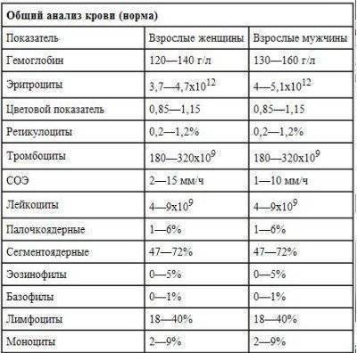 Откуда берут кровь у грудничков? - как берут кровь у грудничков - запись пользователя беата (beattab) в сообществе здоровье новорожденных в категории анализы - babyblog.ru