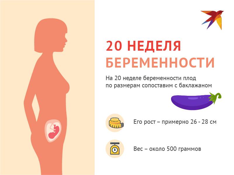 Развитие недоношенного ребенка по месяцам до года