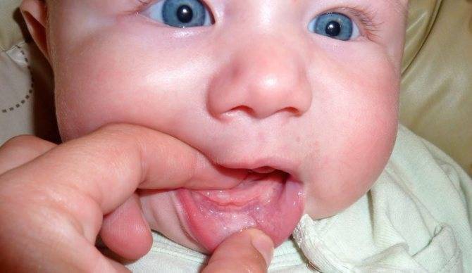 Сколько дней обычно прорезываются первые зубы у ребенка