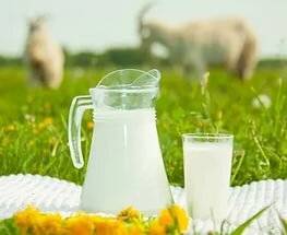 Козье молоко для грудничка: с какого возраста, можно ли кипятить