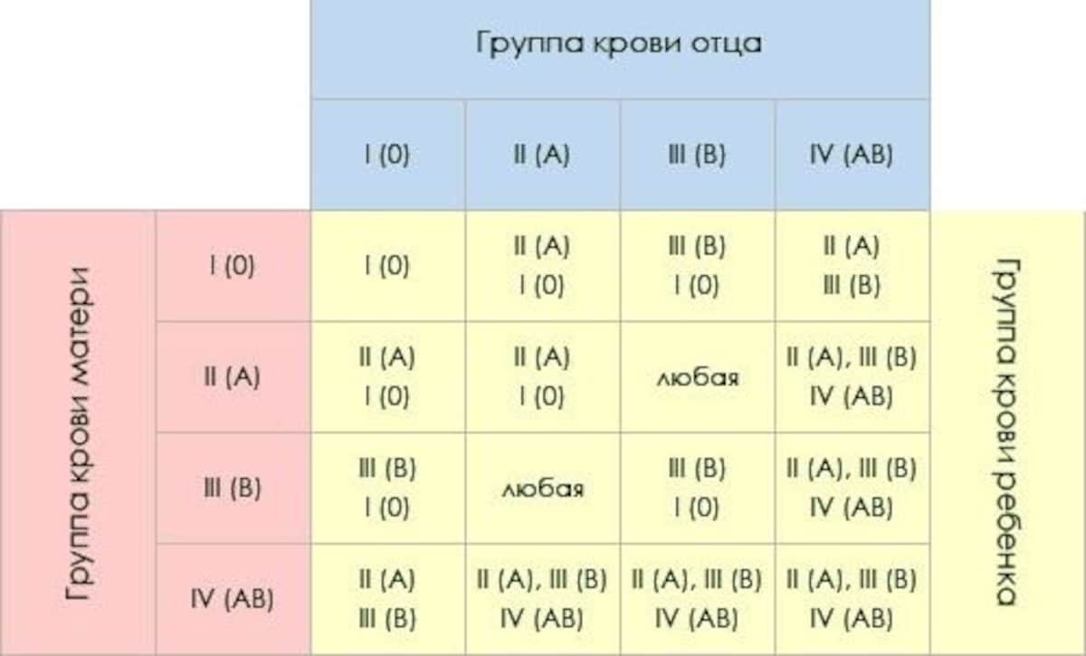 Таблица наследования группы крови. - группа крови таблица наследования - запись пользователя мария (manika69) в дневнике - babyblog.ru
