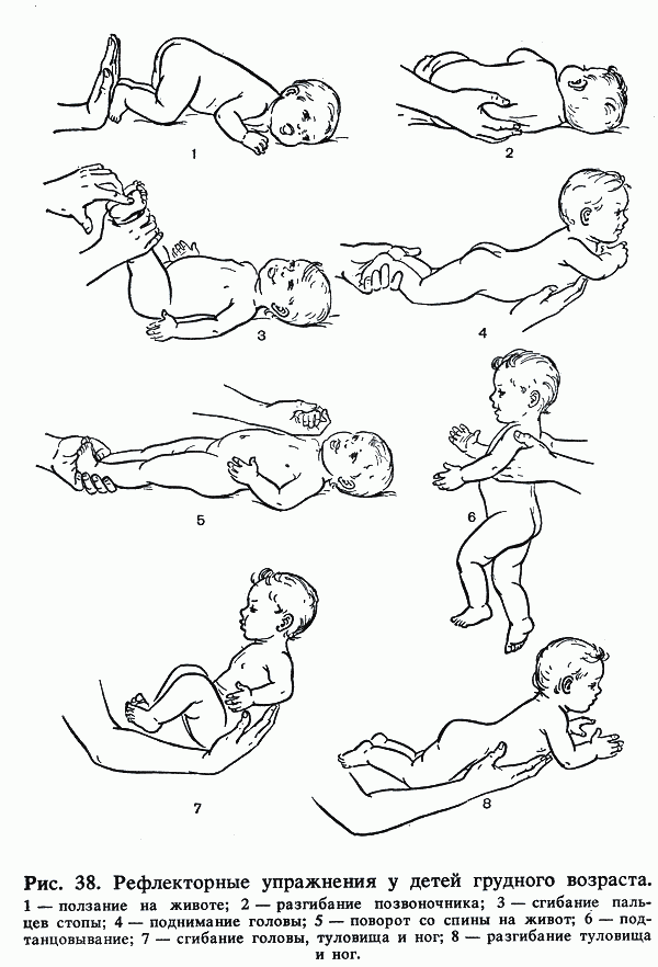 Как делать массаж ребенку 6-8 месяцев?