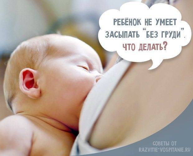 Питание при гв, для тех кому интересно - что нельзя есть при кормлении грудью - запись пользователя анна (ja_anitta) в сообществе образ жизни беременной в категории интересные и познавательные статьи - babyblog.ru