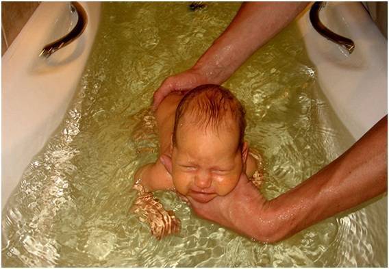 В чем секрет череды и как ее правильно использовать во время купания новорожденного
