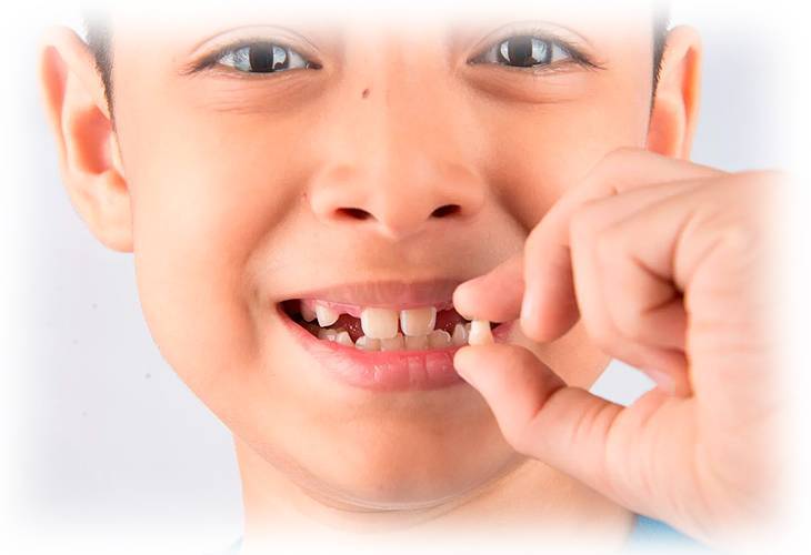 Почему молочные зубы прорезываются не по порядку