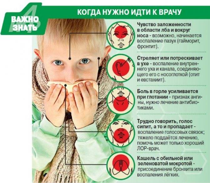 Козявки в носу - запись пользователя одув@нчик (oduvan13) в сообществе здоровье - от трех до шести лет в категории лор (отит, насморк и проч) - babyblog.ru