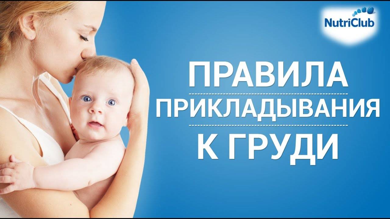 Позы для кормления: правильные позиции новорожденного / mama66.ru