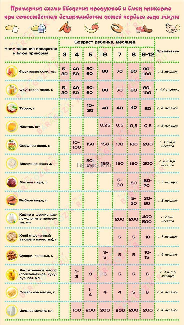 Прикорм в 4 месяца на полном гв - запись пользователя maria (id1404585) в сообществе питание новорожденного в категории правильное введение прикорма - babyblog.ru