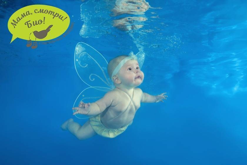 Плавание грудничков по методике фирсова (с картинками и фото) - обучение плаванию новорожденных - запись пользователя ˙·•●๑оля-ля๑●•·˙ (miaolya) в сообществе здоровье новорожденных в категории гигиена малыша - babyblog.ru