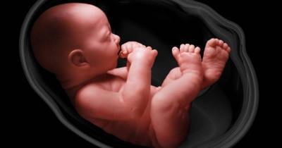 Икота у ребенка в утробе матери: причины частой икоты у малыша, как проявляется, ощущения